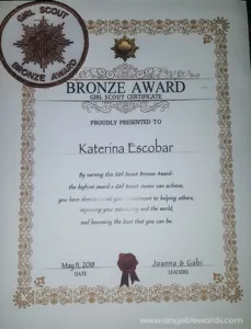 Bronze Award - Certificate
