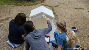 Silver Award -Little Library