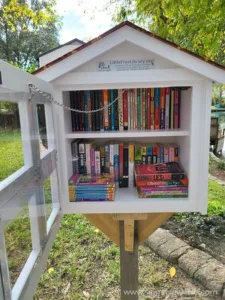 Silver Award -Little Library