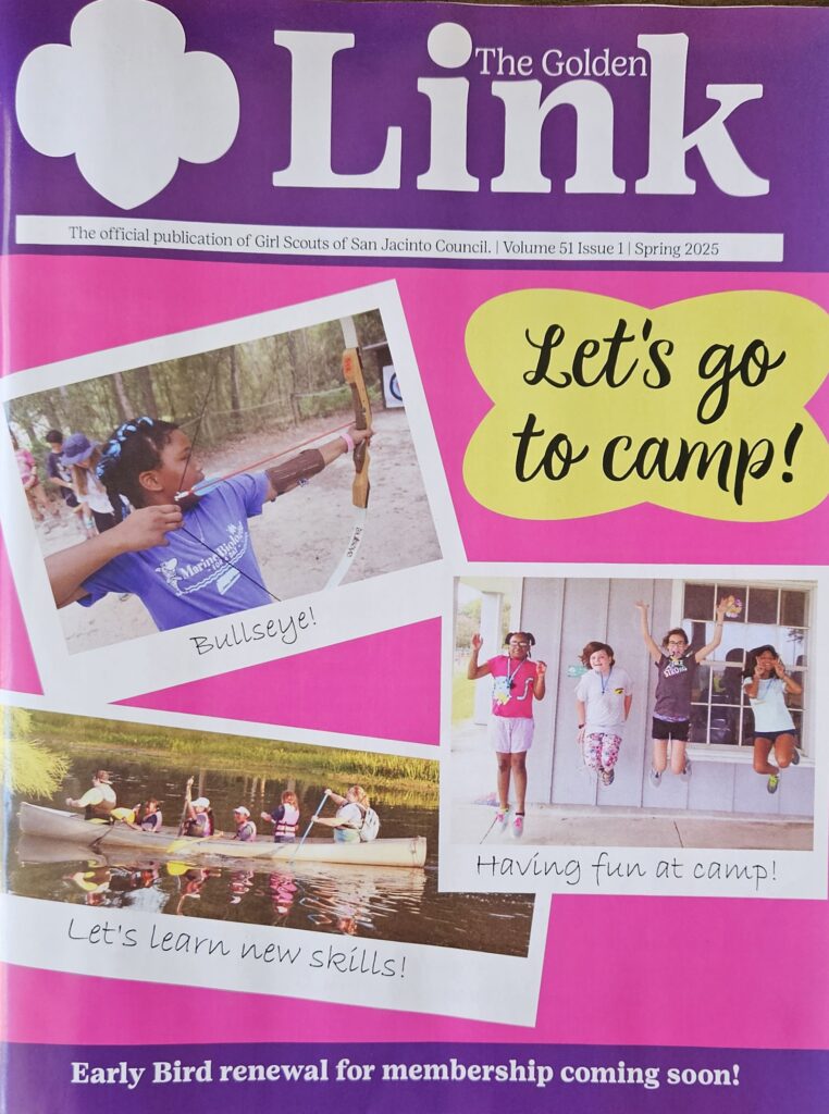 honored-heartfelt-article-girl-scout-community-insights-inspiration-troop